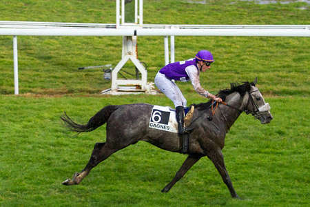 Actualités Hippiques